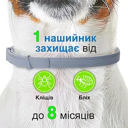 Нашийник Elanco (Bayer) Foresto від бліх та кліщів для кішок і собак малих порід 38 см - мініатюра 4