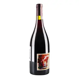Вино Pierre Gaillard Cote Rotie Esprit de Blonde 2017 АОС/AOP, 12,5%, 0,75 л (795831) - мініатюра 2