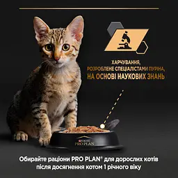 Вологий корм Purina Pro Plan Kitten Healthy Start для кошенят з куркою 85 г (12458617) - мініатюра 8