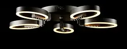 Світлодіодна люстра Splendid Ray L77046/5 LED (grey), сірий, білий, 50 Вт, від 13-20 м² - мініатюра 4