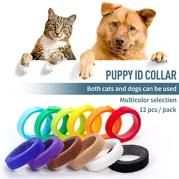 Комплект ідентифікаційних нашийників для цуценят і кошенят Collars for Puppies 12 шт. M - мініатюра 2
