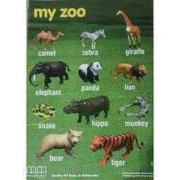 MM Poster My Zoo