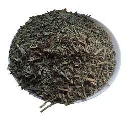 М`ята перцева Трава Mentha piperita