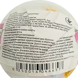 Конструктор Vinwell Збери рослину (985880) - мініатюра 5