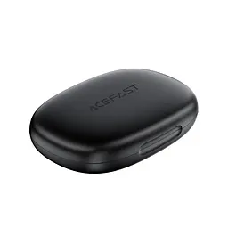Беруші ACEFAST WP1 Silicone noise-cancelling earplugs Black - мініатюра 4