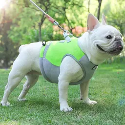 Літній охолоджувальний жилет для собак Derby Summer Dog Cooling Vest PPA0116-4, Green, L - мініатюра 2