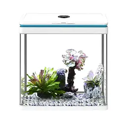 Акваріум SunSun HRG-500 білий 52 л 50x30x45 см - мініатюра 2
