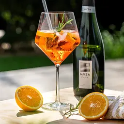 Вино ігристе MVSA Cava DO Brut біле брют 0.75 л - мініатюра 4