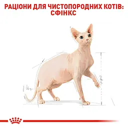 Сухий корм для дорослих кішок породи сфінкс Royal Canin Sphynx Adult, з м'ясом птиці, 2 кг - мініатюра 2