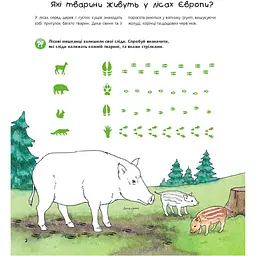 Інтерактивна книжка Богдан Чому? Чого? Навіщо? Тварини світу - Ріхтер Штефан (978-966-10-8473-4) - мініатюра 2