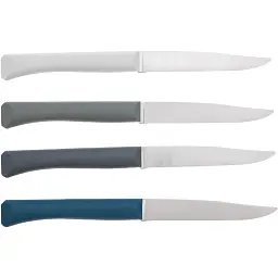Набір ножів Opinel Bon Appetit Plus Storm - мініатюра 2