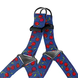 Шлея для собак BronzeDog Urban Fruits Вишні S 40-53 см - мініатюра 2
