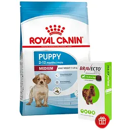 Сухий корм Royal Canin Medium Puppy для цуценят середніх порід, з м'ясом птиці і кукурудзою, 15 кг + Жувальна пігулка Bravecto від бліх і кліщів для собак з вагою від 10 до 20 кг 1 шт