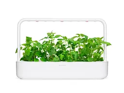 Змінний картридж Click & Grow Котяча м'ята 3 капсули (7465) - мініатюра 3