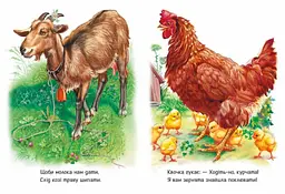 Книга Малятам про звіряток Збірник: Поруч з нами Ранок М212013У shop (9786170978738) - мініатюра 3