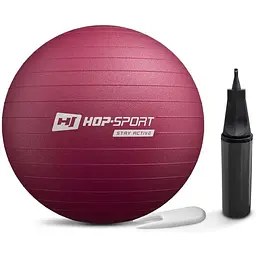 Фітбол Hop-Sport 45см HS-R045YB сливовий + насос