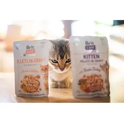 Вологий корм для кошенят Brit Care Kitten Fillets in Gravy Tender Turkey філе в соусі індичка 85 г - мініатюра 3
