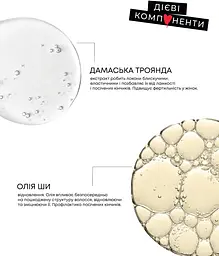 Набір LEIA Shine & Protect Duo для всіх типів волосся термозахист 150 мл + олія 70 мл (65109) - мініатюра 2