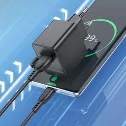 Мережевий зарядний пристрій Borofone BAS12A Erudite single port 18W/QC3.0/1USB + Type-C чорний - мініатюра 2