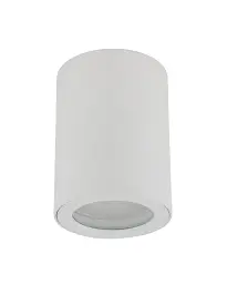 Точковий світильник TK Lighting 10932 Ligno GU10 1x10W IP44 білий