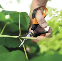 Ножиці для рослин і квітів Fiskars Solid ™ Softgrip SP15 1051602 - мініатюра 7