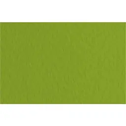Папір для пастелі Fabriano Tiziano A3 (29.7х42см) №43 pistacch 160г/м2 фісташковий середнє зерно