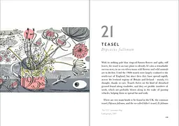 The Book of Wild Flowers - мініатюра 4