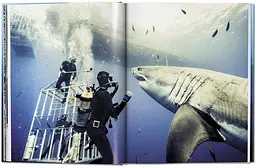 Michael Muller. Sharks - мініатюра 2