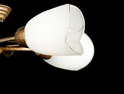 Люстра стельова Splendid Ray L88497/5, E14, 5 ламп, 26 см, бронза, білий, сучасний стиль - мініатюра 3