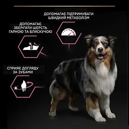 Сухий корм для щенят Purina Pro Plan Dog Medium Puppy з лососем та рисом 12 кг 12367295 - мініатюра 6