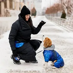 Комбінезон для собак Waudog Clothes, NASA21, M45 - мініатюра 4