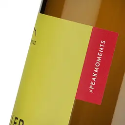 Вино Erste+Neue Alto Adige Müller-Thurgau DOC біле сухе 13% 0.75 л - мініатюра 4