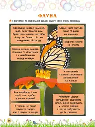 Секрети знань. Зустрічай 4 клас - Олена Шаповал - мініатюра 4