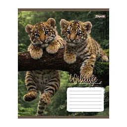 Упаковка зошитів 1В Wildlife is beautiful А5/24 лін. 20 шт. (769147) - мініатюра 4