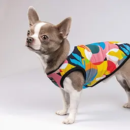 Майка-борцовка Pet Fashion Cool для собак, розмір XS2, з принтом - мініатюра 5