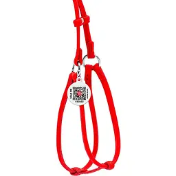 Шлея з повідцем для собак Waudog Glamour, шкіряна, кругла, з QR паспортом, 42-60х46-64х0,6/105 см, червоний (34023) - мініатюра 2