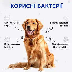 Пробіотики для собак та котів Modes Kombiflor для підтримки балансу мікрофлори кишківника 15 саше - мініатюра 2
