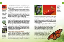Енциклопедія для допитливих А5 : Тварини - майстри маскування (Українська ) - мініатюра 4