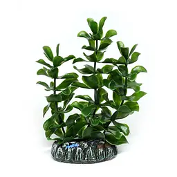 Штучна рослина Hobby Bacopa 13 см (51556)
