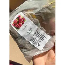 Саджанець Agro-Market Полуниця Хоней (Honey) 5шт (ранній термін дозрівання, стійкий до хвороб і шкідників) (23403) - мініатюра 8