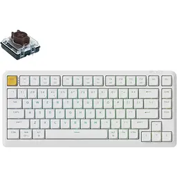 Клавіатура Keychron J1 82 Key K Pro Brown Switch RGB White (J1-Q3-UA) [159743]