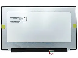 Матриця 17.3" Slim eDP 390mm 1920х1080 IPS, 300Hz, 40pin mini, без кріплень AUO B173HAN05.1, матова
