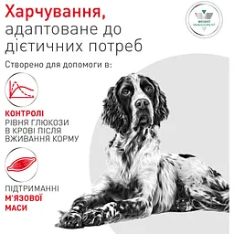 Сухий корм Royal Canin Glycobalance Dog для собак із цукровим діабетом 1.5 кг - мініатюра 4