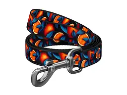 Повідець для собак WAUDOG Nylon "Апельсини" S, Ш 15 мм, Д 200 см (756-4054)