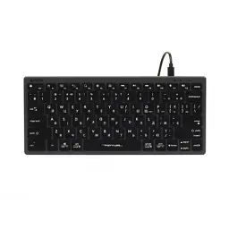 Клавіатура A4Tech FX61 USB Grey (4711421976411) - мініатюра 2