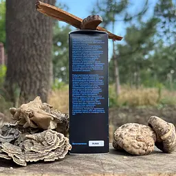 Комплекс рідких екстрактів Лісовик Gastro для травлення 50 мл - мініатюра 2