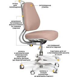 Дитяче крісло Evo-Kids Mio Ergo Lite Brown (Y-507 Lite BR)  - мініатюра 2