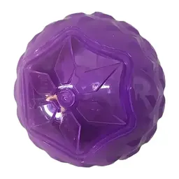 Іграшка, що світиться для собак Bonny Round Ball of Flash, L Фіолетовий