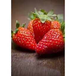 Саджанець Agro-Market Полуниця Вікторія 5шт (ремонтантний сорт) (37303) - мініатюра 5