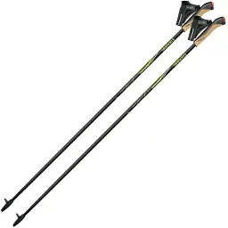 Палиці для скандинавської ходьби Gabel FX-75 Snake Carbon 105 Dual Spike 